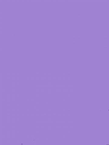 Жанна Восхитительная Брюнетка фото 2